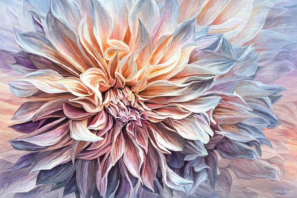 Floral Close-Ups: Dahlia Moods by Carol Cavalaris