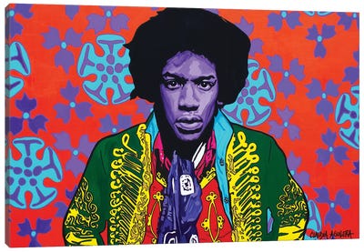 Are You Experienced? Canvas Art Print - Jimi Hendrix