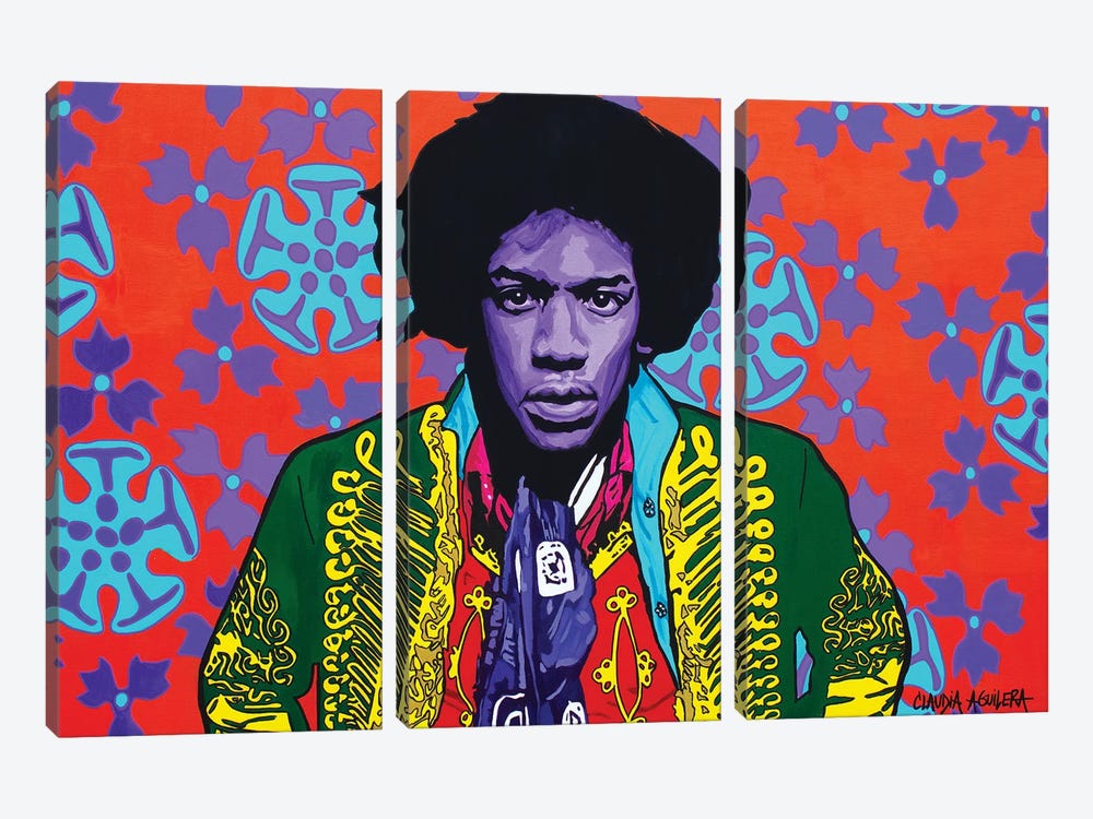 Are You Experienced? by Claudia Aguilera 3-piece Canvas Print