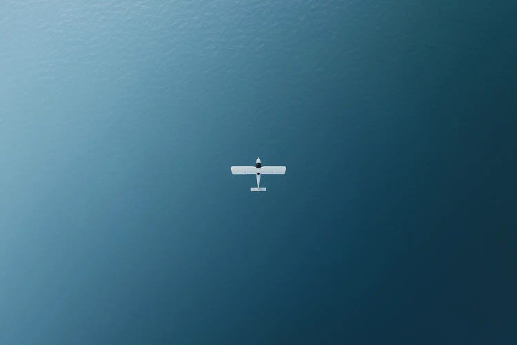 Plane Ride by Andrea Caruso wall art