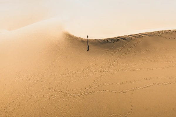 Sand Explorer