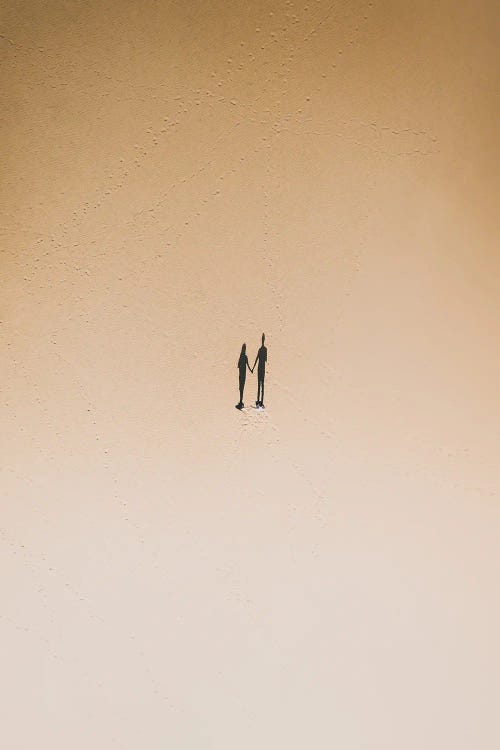 Shadows Couple by Andrea Caruso wall art