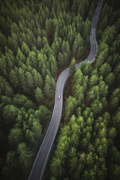 Andrea Caruso: Snake Road by Andrea Caruso