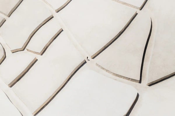 Abstract Photography: White Lime by Andrea Caruso