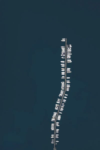 Minimalist Photography: Boats Tree by Andrea Caruso