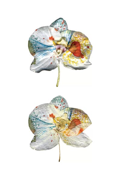 Cayena Blanca: Solitude III by Cayena Blanca