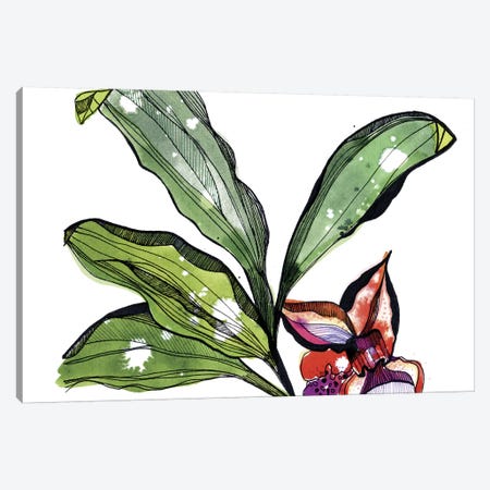 Bee Orchid Canvas Print #CBA23} by Cayena Blanca Art Print