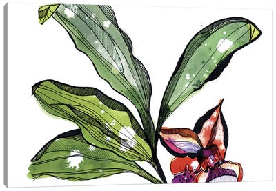 Bee Orchid Canvas Art Print - Pantone Greenery 2017