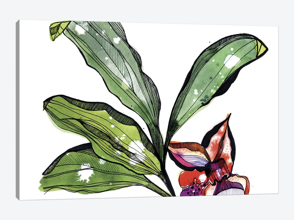 Bee Orchid by Cayena Blanca 1-piece Canvas Print