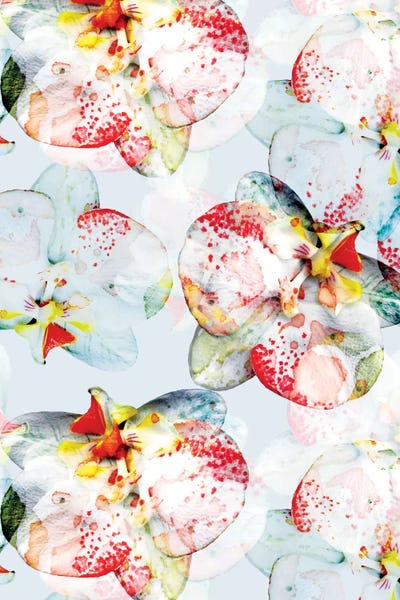 Early Bloom by Cayena Blanca canvas print