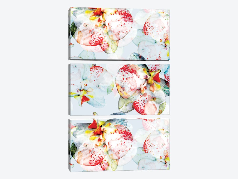 Early Bloom 3-piece Canvas Print