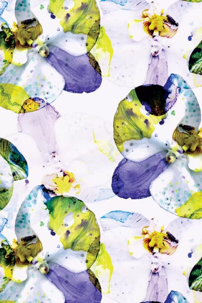 Early Bloom Vol2 by Cayena Blanca canvas print