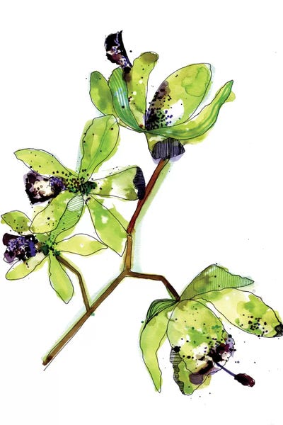 Cayena Blanca: Neon Orchids by Cayena Blanca