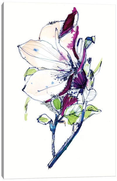 Flower Sketch Canvas Art Print - Colorful Contemporary