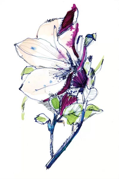 Cayena Blanca: Flower Sketch by Cayena Blanca