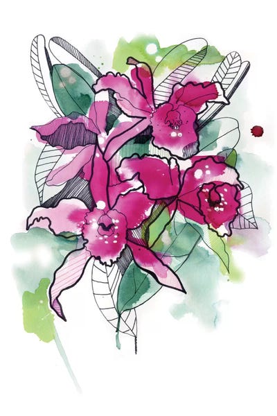 Magenta Orchids by Cayena Blanca canvas print