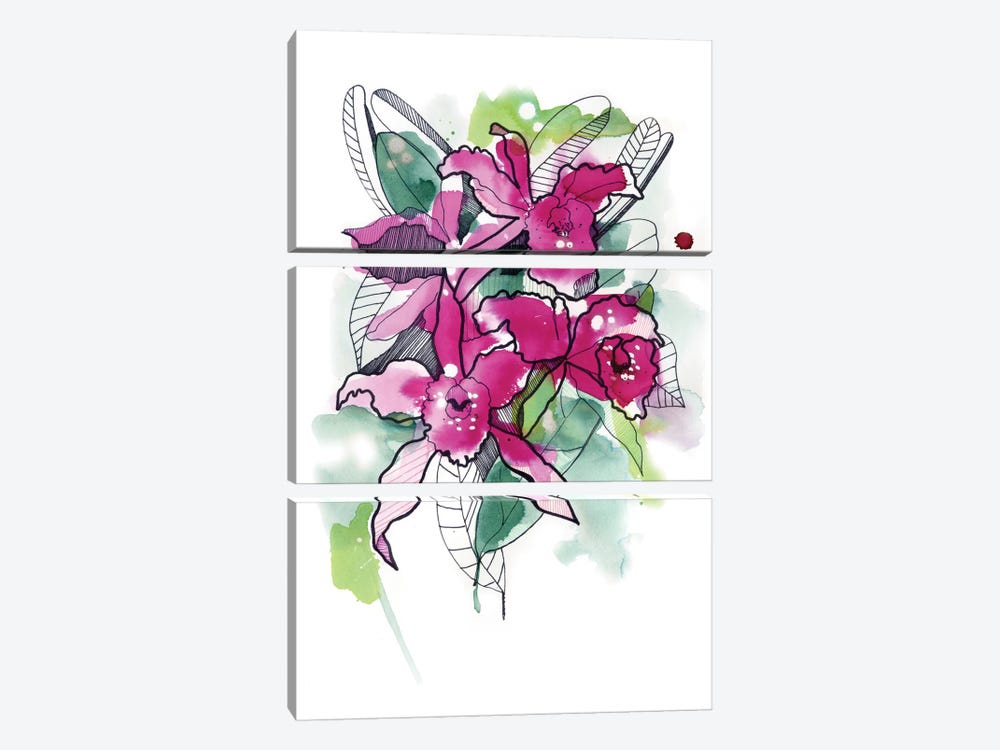 Magenta Orchids by Cayena Blanca 3-piece Canvas Art Print