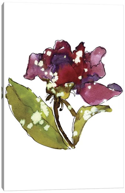 Marsala Rose Canvas Art Print - Colorful Contemporary