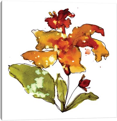Orange Hibiscus Canvas Art Print - Cayena Blanca