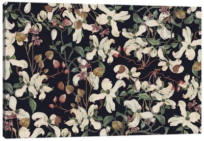 Botanical Canvas Art Print - Floral & Botanical Patterns