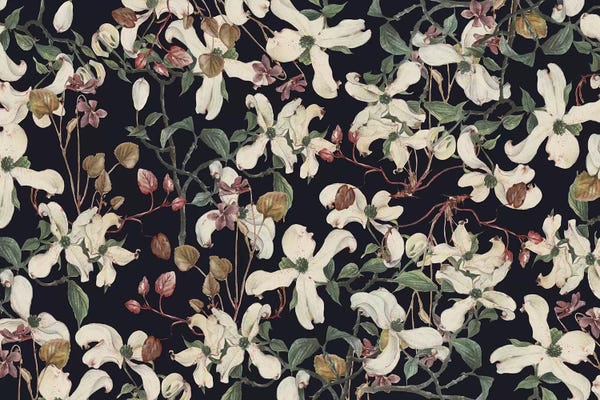 Cayena Blanca: Botanical by Cayena Blanca