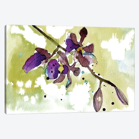 Purple Orchids Canvas Print #CBA9} by Cayena Blanca Canvas Artwork
