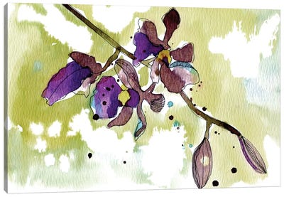 Purple Orchids Canvas Art Print - Orchid Art
