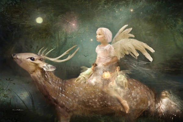 Fairies: Heaven Sent by Charlotte Bird