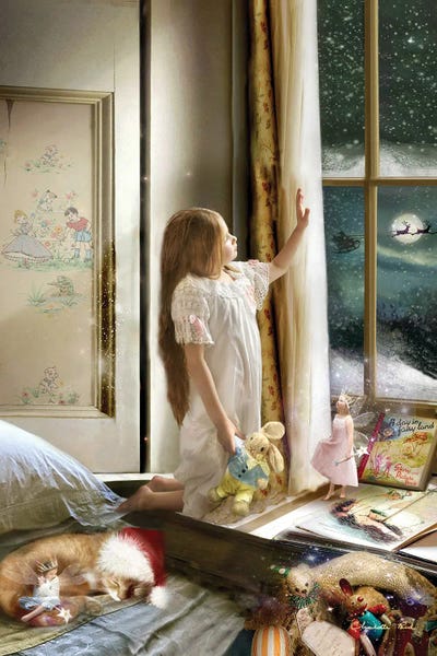 Fairies: Christmas Magic by Charlotte Bird