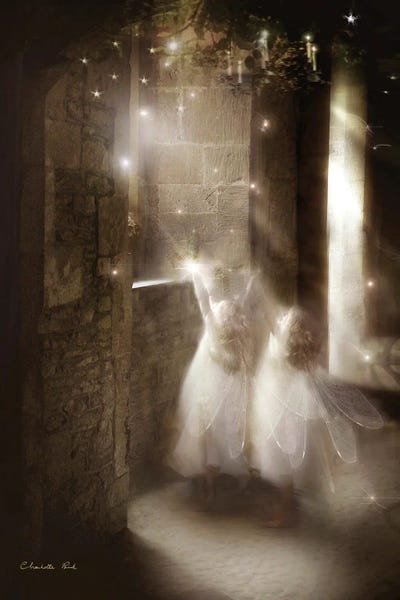 Winter Wonderland: The Christmas Star by Charlotte Bird