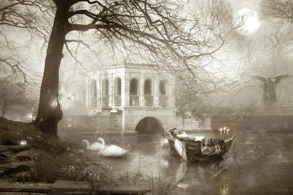 Angels: The Angel Of Moon Lake by Charlotte Bird