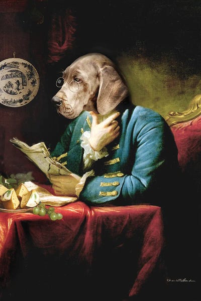 Weimaraners: The Library by Charlotte Bird