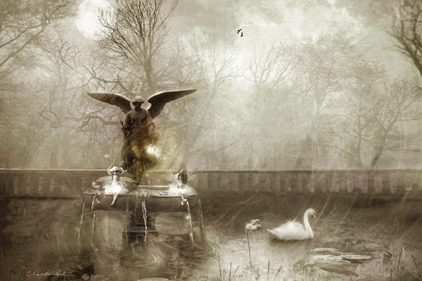 Fountains: Between Heaven And Earth by Charlotte Bird