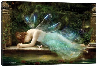 Day Of Becoming Canvas Art Print - Fairy Art