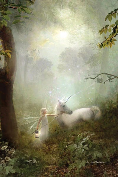 The Secret Lives Of Fairies: The Journey Home by Charlotte Bird