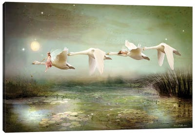 Lake Of Tranquility Canvas Art Print - Swan Art