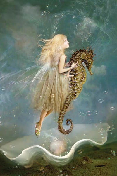 Sea Shells: Sea Wishes by Charlotte Bird