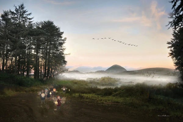 The Secret Lives Of Fairies: There Be Fairies Here Ireland by Charlotte Bird