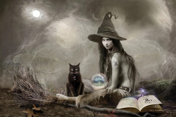 Black Cats: The Goddess by Charlotte Bird