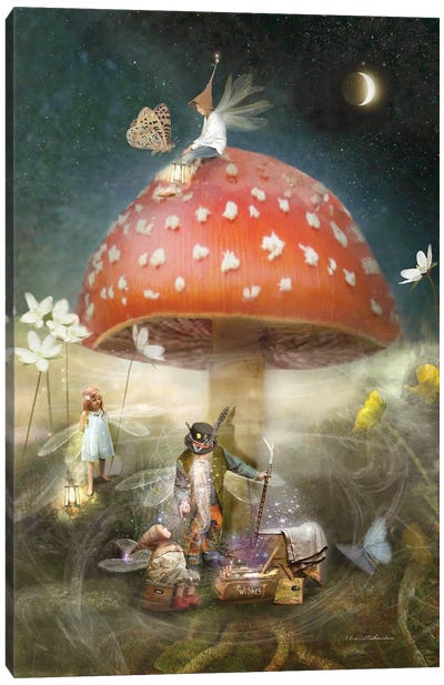 The Wish Canvas Art Print - Mushroom Art