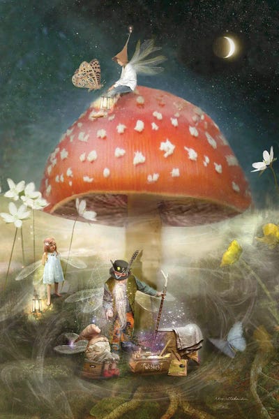 The Secret Lives Of Fairies: The Wish by Charlotte Bird