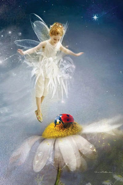 The Secret Lives Of Fairies: You Make Me Smile by Charlotte Bird