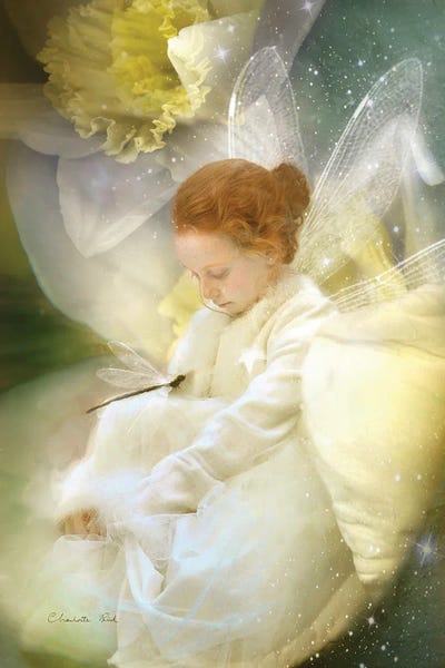 Dragonflies: Dreaming Daffodils by Charlotte Bird