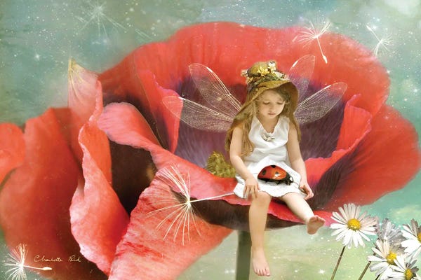 Ladybugs