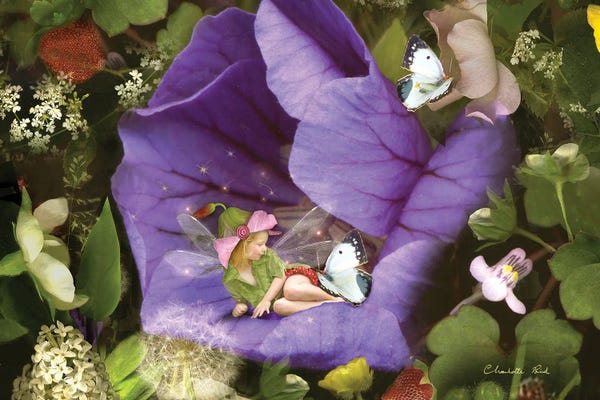 The Secret Lives Of Fairies: A Summer Garden by Charlotte Bird