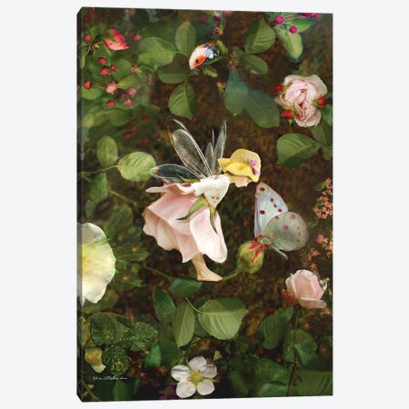 Rose Fairy Canvas Print #CBD58} by Charlotte Bird Canvas Art Print
