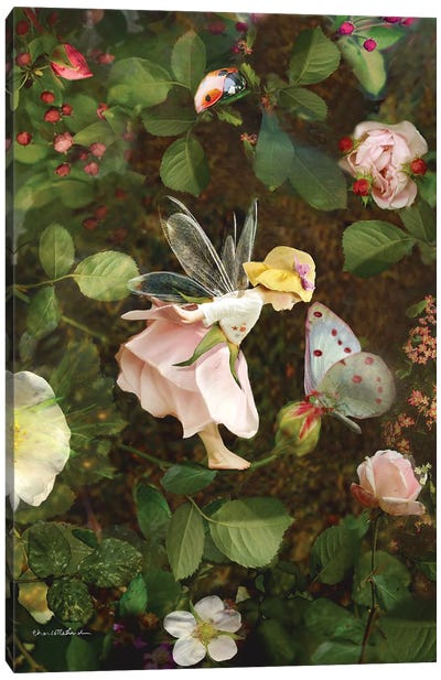 Rose Fairy Canvas Art Print - The Secret Lives of Fairies