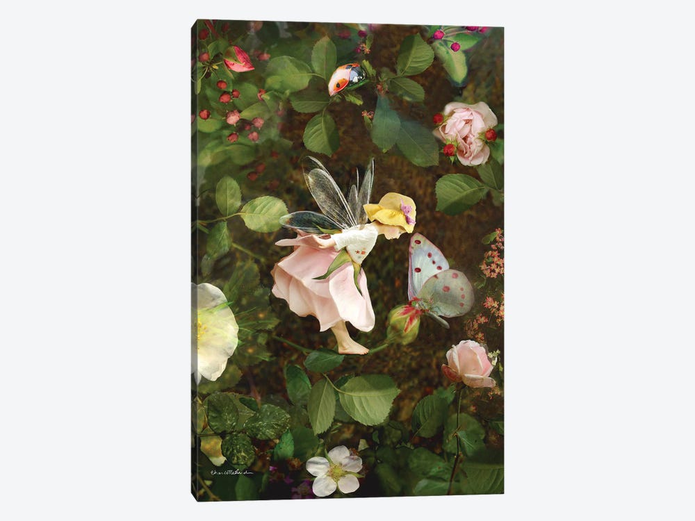 Rose Fairy by Charlotte Bird 1-piece Art Print
