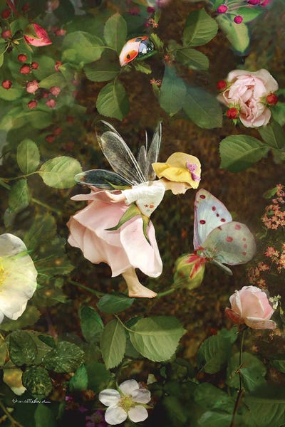 The Secret Lives Of Fairies: Rose Fairy by Charlotte Bird