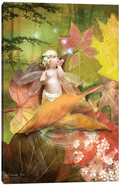 When Autumn Sings Canvas Art Print - Charlotte Bird